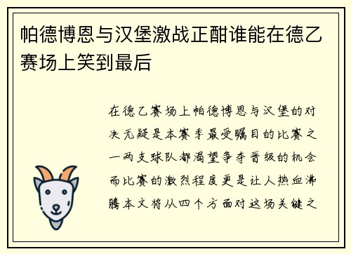 帕德博恩与汉堡激战正酣谁能在德乙赛场上笑到最后