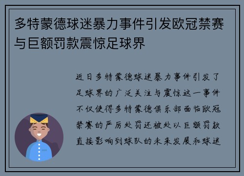 多特蒙德球迷暴力事件引发欧冠禁赛与巨额罚款震惊足球界